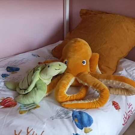 Détente Sur La Côte D'opale Appartamento *